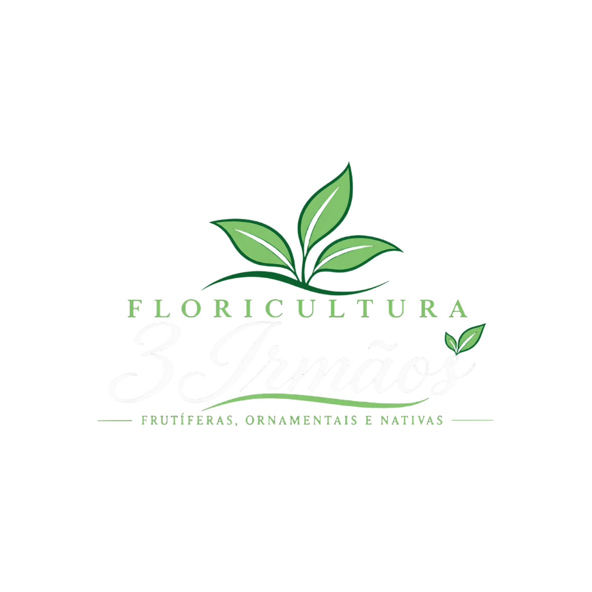 Logo Floricultura 3 Irmãos